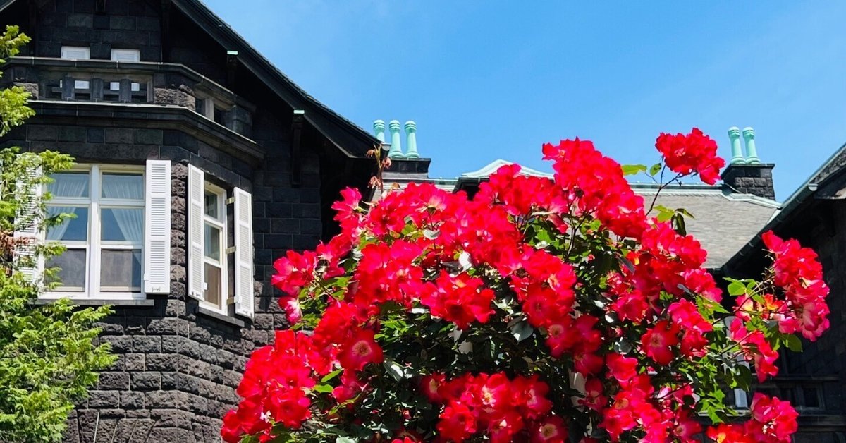 旧古河庭園🌹春のバラフェスティバル 2025｜ミント