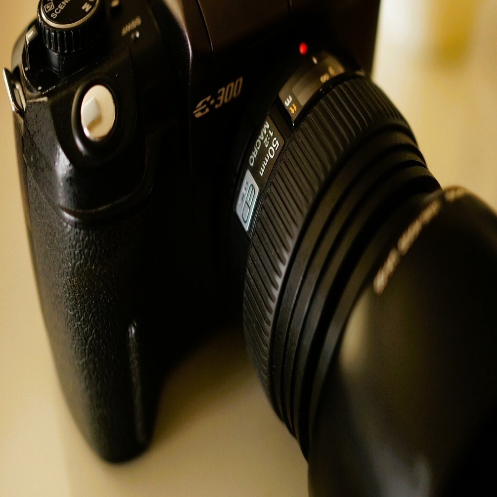 旧フォーサーズが誇る名玉「OLYMPUS ZUIKO DIGITAL ED 50mmF2 Macro