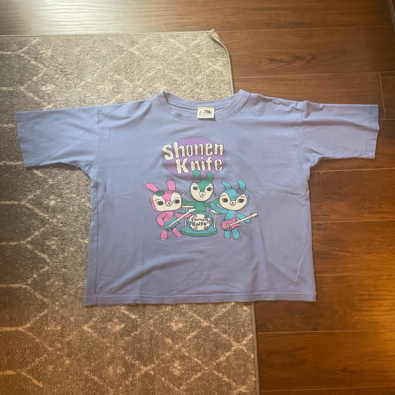 超希少 深瀬着用 少年ナイフ 北米ツアー Tシャツ オレンジ Large SEKAI NO OWARI 深瀬さん着用のヴィンテージTシャツを解決②〜衣装の