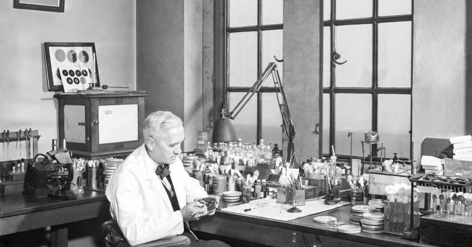 2月12日は ペニシリン の臨床実験が成功した日 世界初 の抗生物質は偶然発見された 伊藤忠都市開発 Note