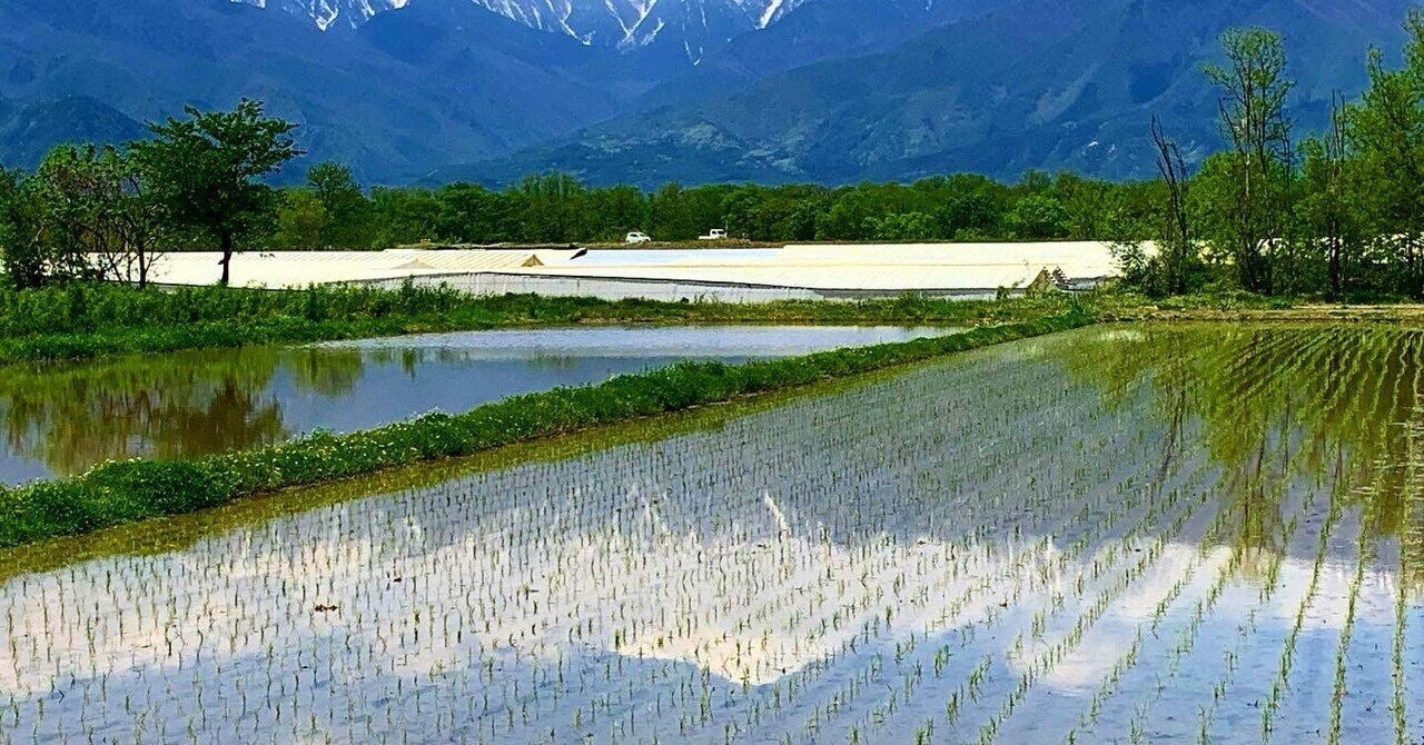 安曇野、水田の鏡に映る北アルプス——日本の原風景を未来へ