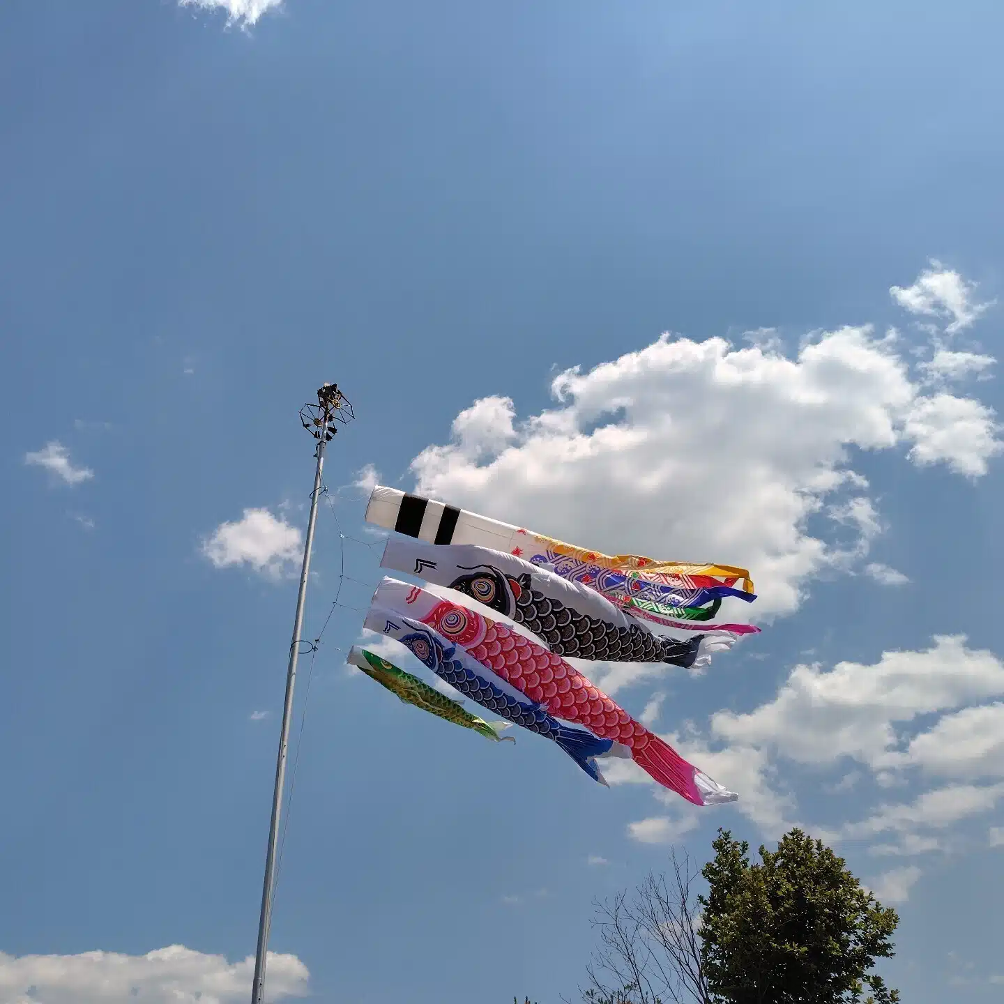 心は晴れ模様