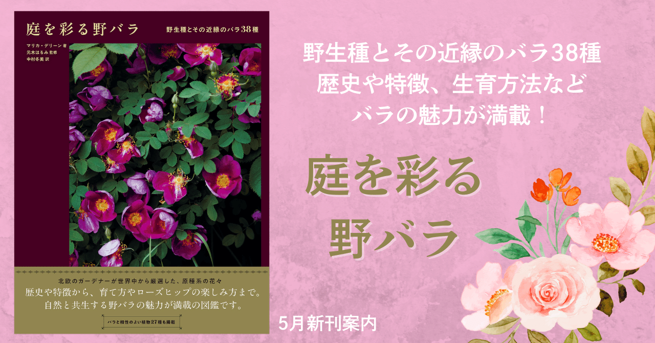 野生種とその近縁のバラ38種】歴史や特徴、生育方法などバラの魅力が