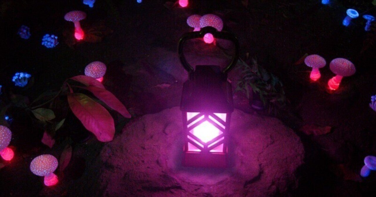 通期パスを購入して大阪・関西万博へ④｜大人も楽しい住友館と