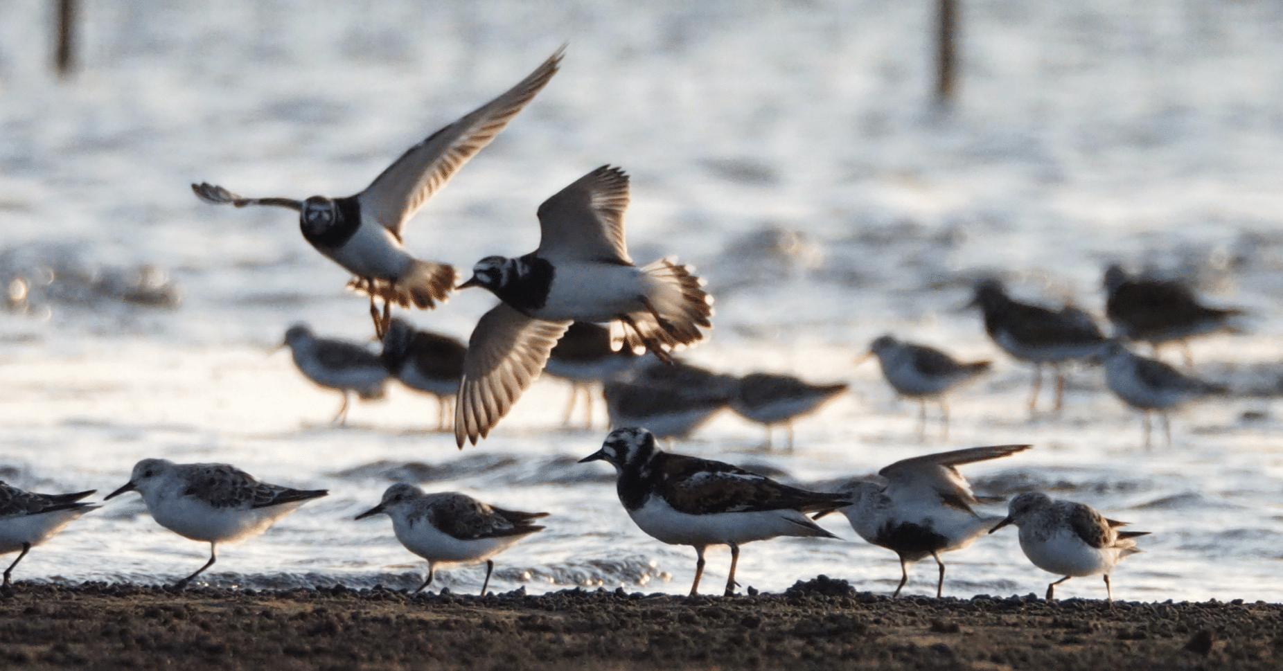 c9c26e22096a84391bf898b3b55272