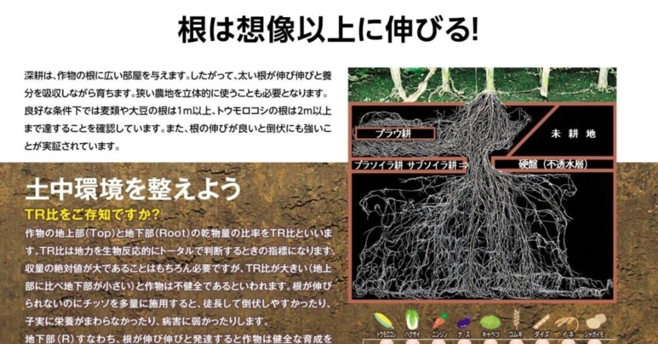 炭酸ガスで収穫量大幅に増やしてみよう。ホシザキのレギュレーター付き　ガス無し 炭酸ガスで収穫量大幅に増やしてみよう。ホシザキのレギュレーター付き