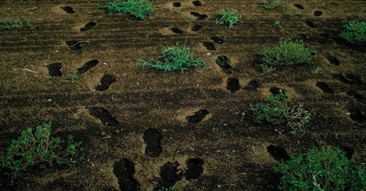 土用の丑の日 土公神 どくじん 様 彡 にじいろのとりさん Note