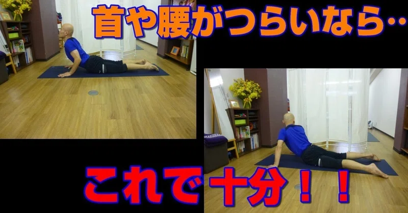 何故 ヨガをやっても柔らかくなる人と柔らかくならない人がいるのか 身体の硬い人の為のパーソナルヨガスタジオ顔晴る がんばる ジム Note