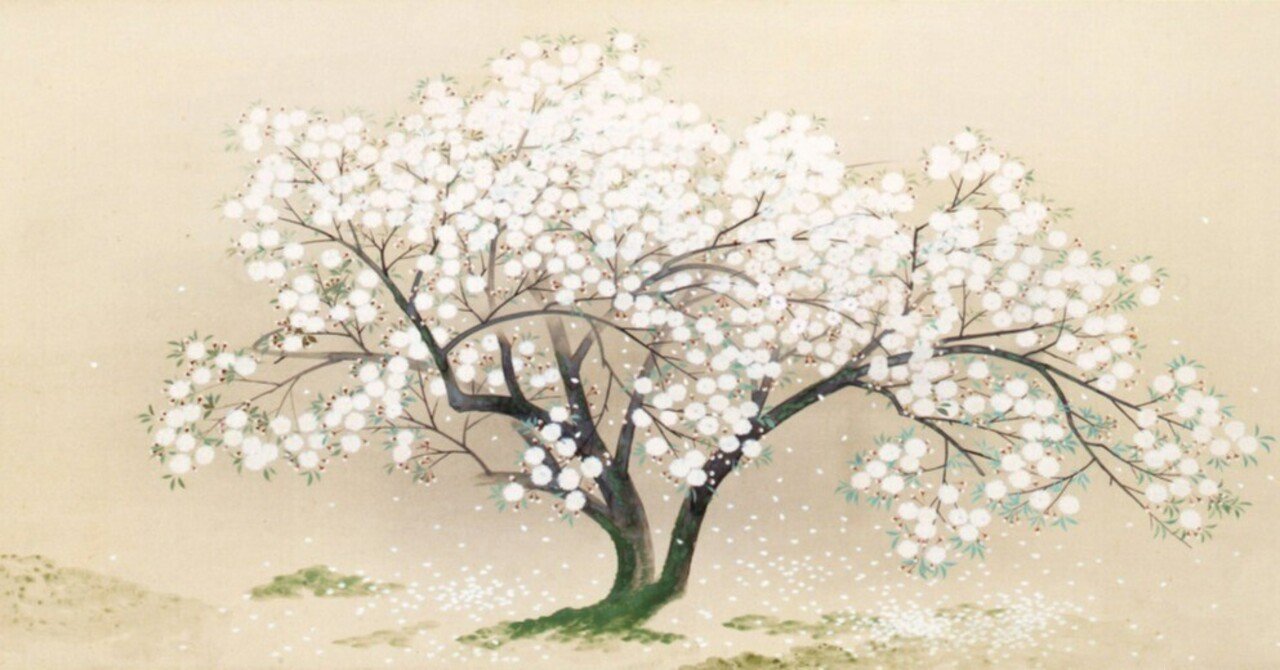 日本画でお花見！桜は一瞬だから名残惜しい、思わず見とれる桜の