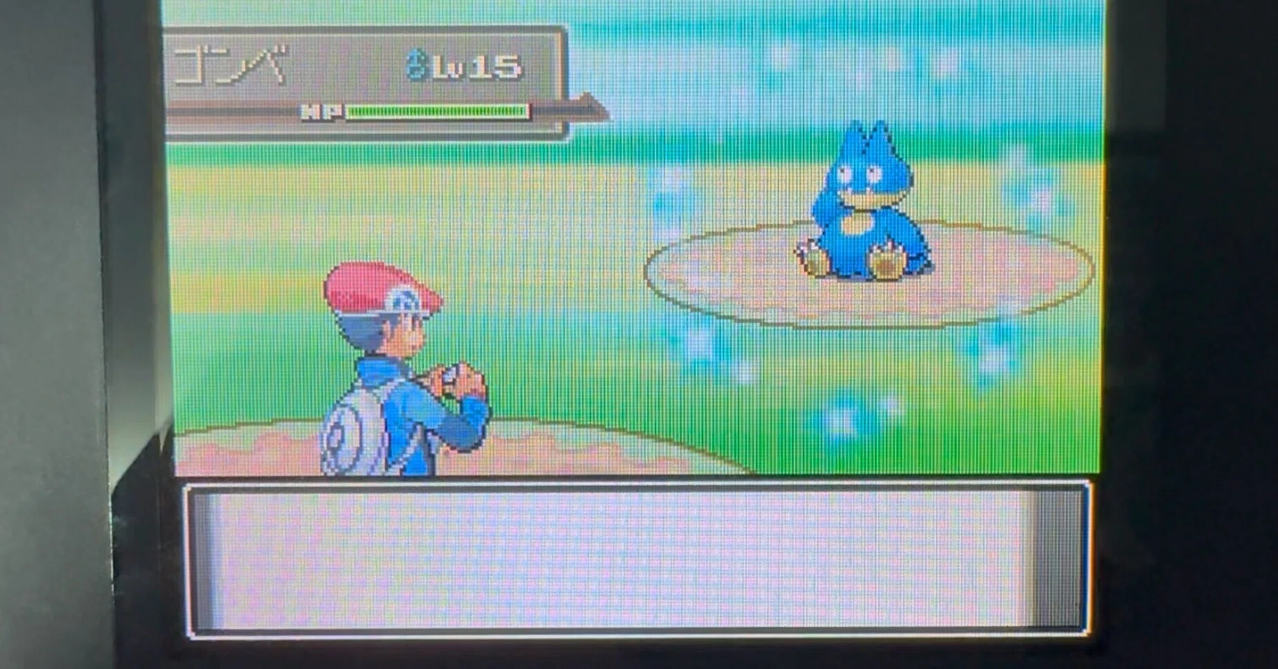 ポケモンPt ゴンベの色違い乱数とミツの木の詳細な仕様と計算の解説｜ひな