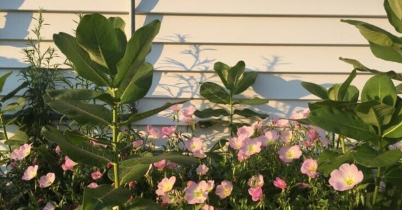 女子走高跳び  エロ 水泳／飛込｜競技｜日本オリンピック委員会（JOC）JOC - 日本オリンピック委員会