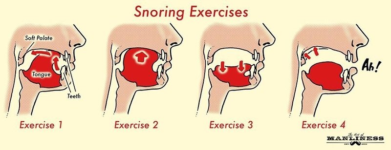 いびきを止める方法が適当すぎる ちゃんと調べてみた はがくん 独学を応援する薬剤師 Note いびきを止める方法が適当すぎる ちゃんと調べてみた はがくん 独学を応援する薬剤師 Note