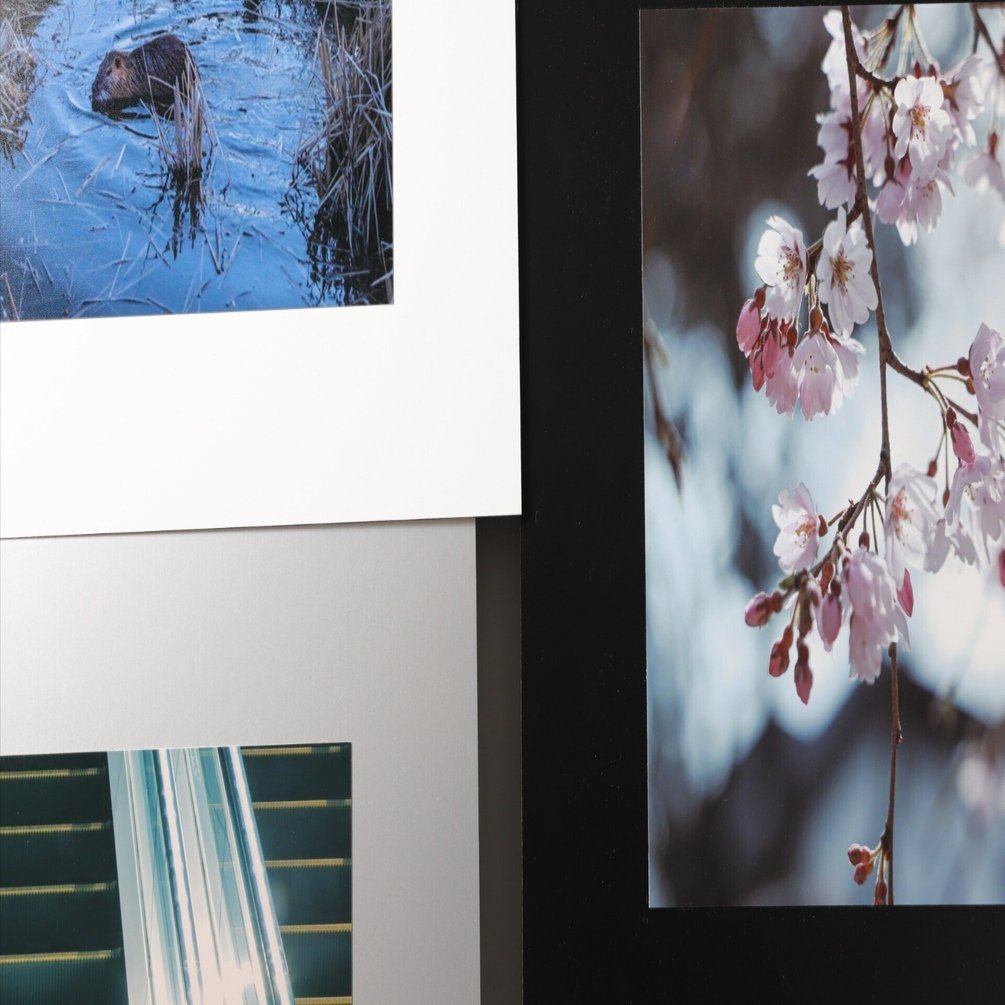 銀塩プリントは繊細で頑丈だと思う｜AMS-Kyoto Photo Labo-