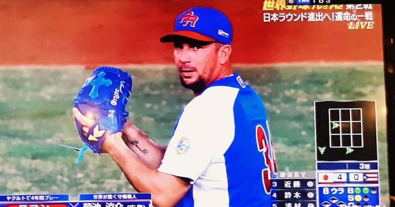2015年ヤクルト優勝の立役者「ROB」の中で