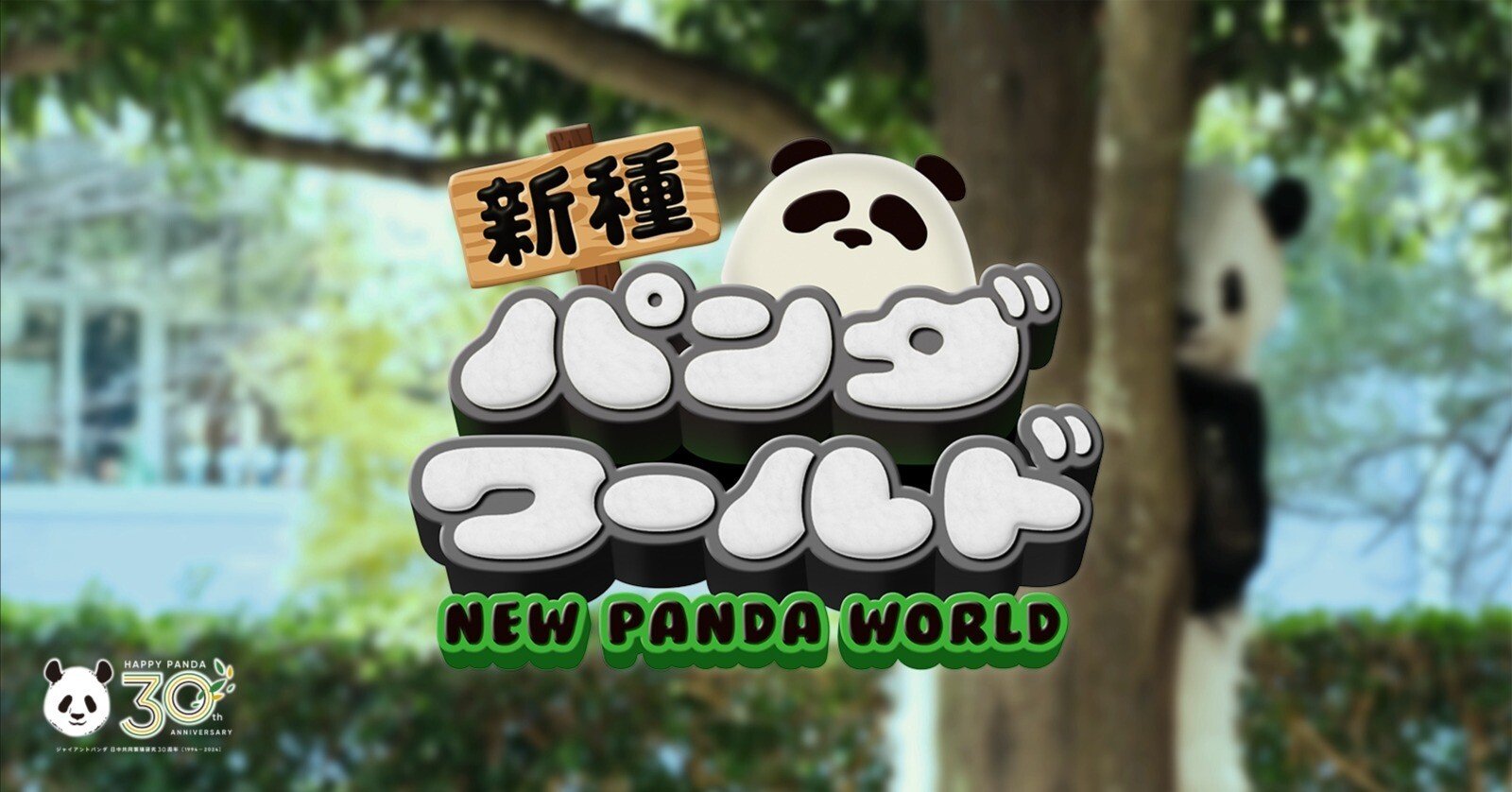 新種パンダワールドの企画話と、アドベンチャーワールドの魅力｜佐藤