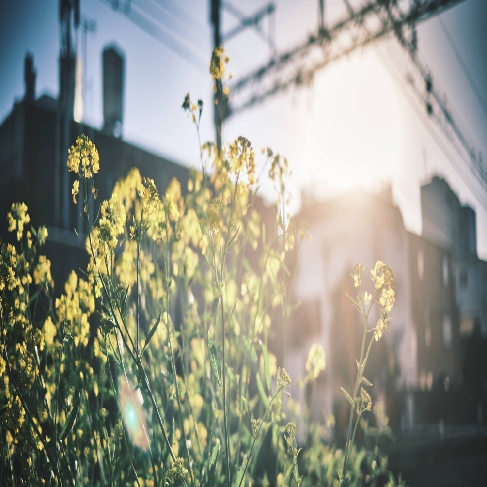 独立15年目のフォトグラファーなんだけど、初めて営業活動をしてみよう