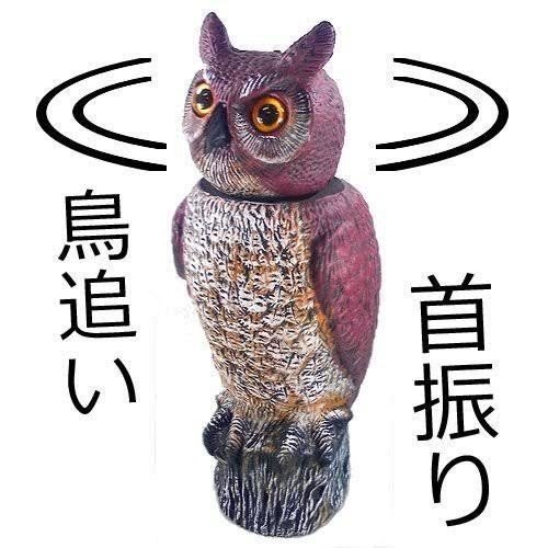 第813回 首振り鳥 翆野 大地 Note 第813回 首振り鳥 翆野 大地 Note