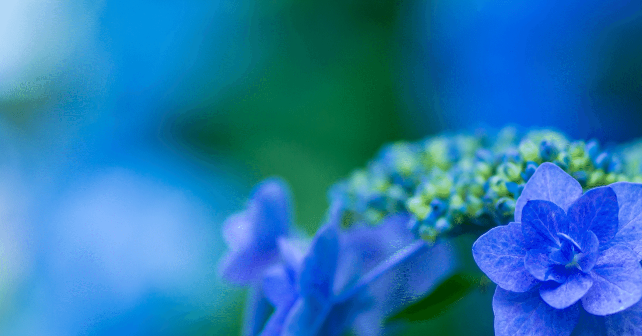 母に贈る花｜夏野真碧｜Natsuno AO｜