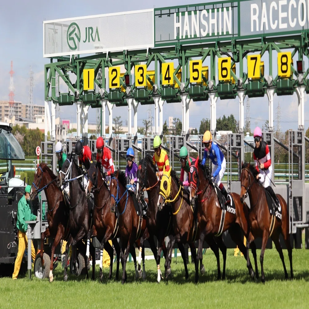 日本ダービー出走馬から読み解く！芝クラシックを狙えるクラブ馬｜しゅんた