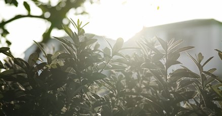 中村一義」の人気タグ記事一覧｜note ――つくる、つながる、と