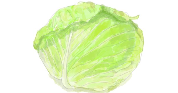 上等な いつもの味に飽きた人に。99円春キャベツで作った「豚とキャベツ 野菜