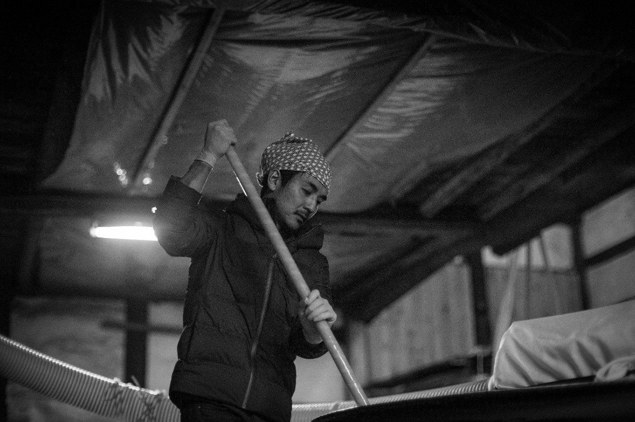 ゴローニャぱんせん専用　新品未開封　シュリンク付　パワーオブジエレメンツ　通常版 コードバン IDパスケース SS40029 | THE WARMTHCRAFTS