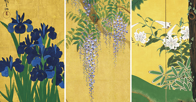 国宝・燕子花図と藤花図、夏秋渓流図｜根津美術館｜空洞