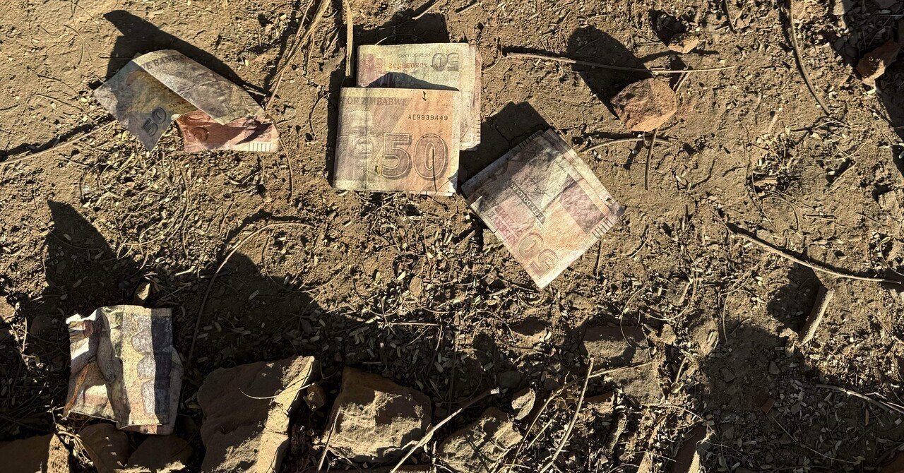 ショナ人が語ってくれたジンバブエの歴史について＋α｜Mayui/ジンバブエ滞在記🇿🇼