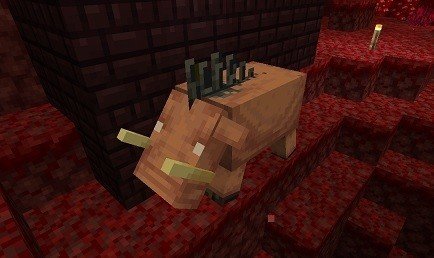 マイクラ 1 16 新ネザーアップデート情報 新モブ 新バイオーム ぷっちょ聖人 中学生です 労働者になりたくない Note