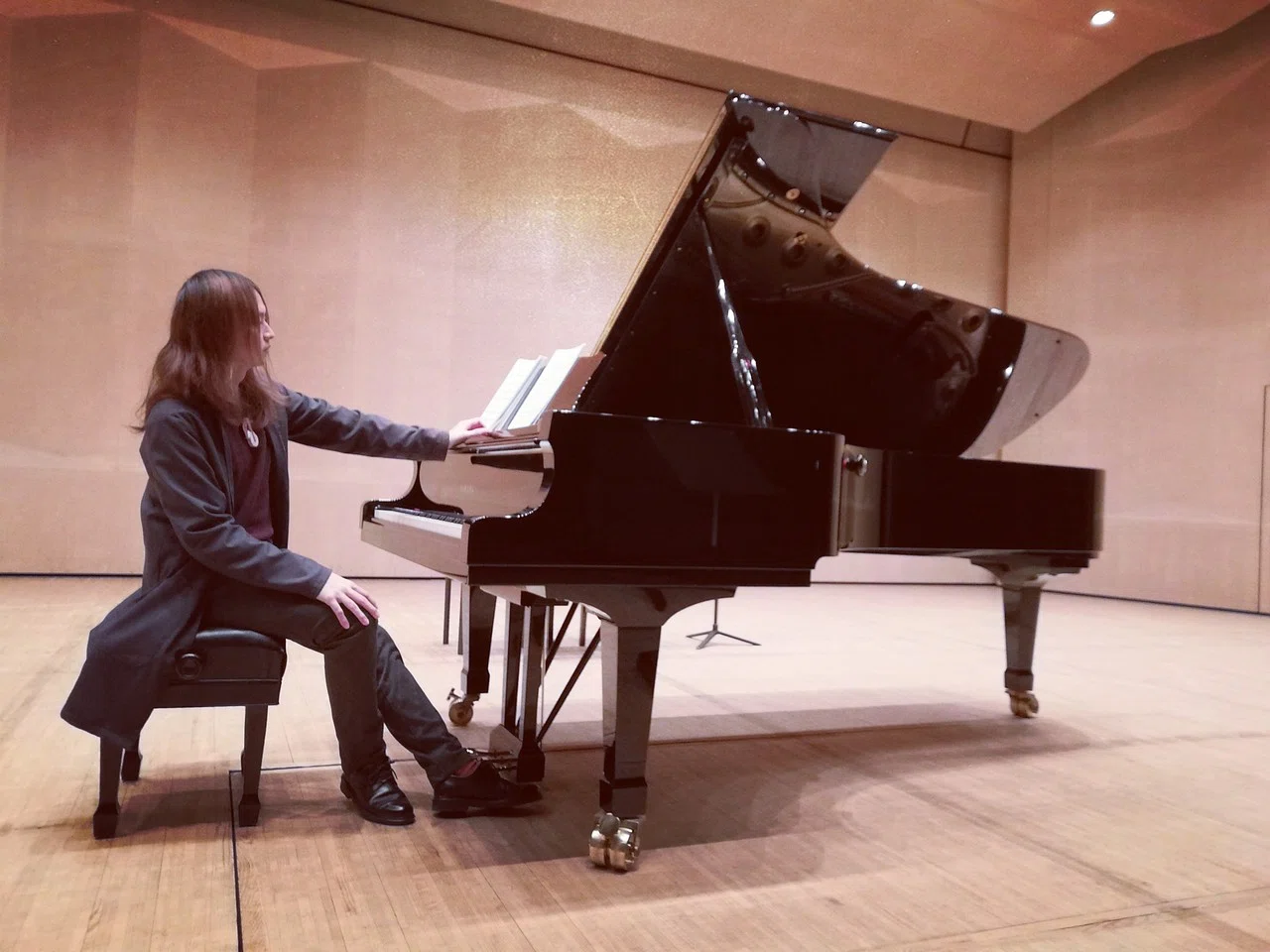 ピアノ学習指導体系 ThePIANIST /コンサート編 完全保存版】クラシックピアニストが電子ピアノでコンサートをするため