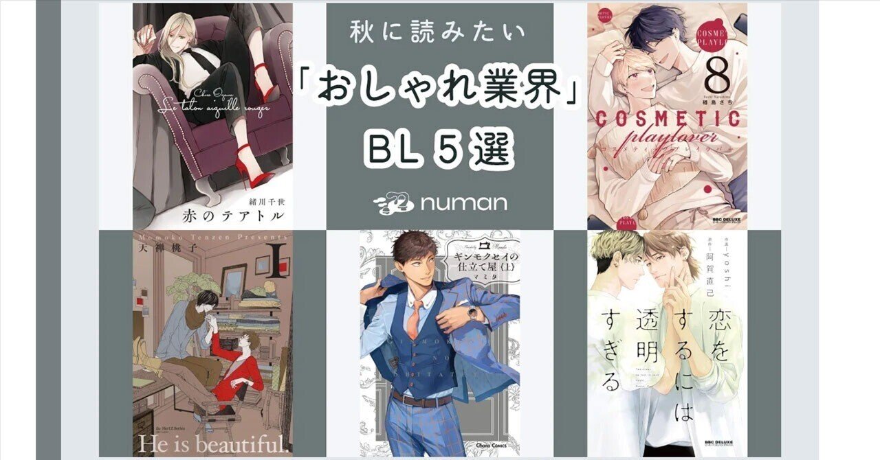 BL漫画 商業BL まとめ売り いっぱい BLコミック 商業BL BL漫画 101冊