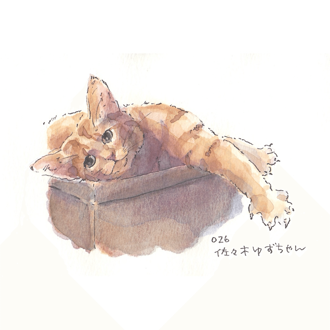 ペットを描くこともOK！ 猫ちゃんをご依頼ならコチラ！ 写真を