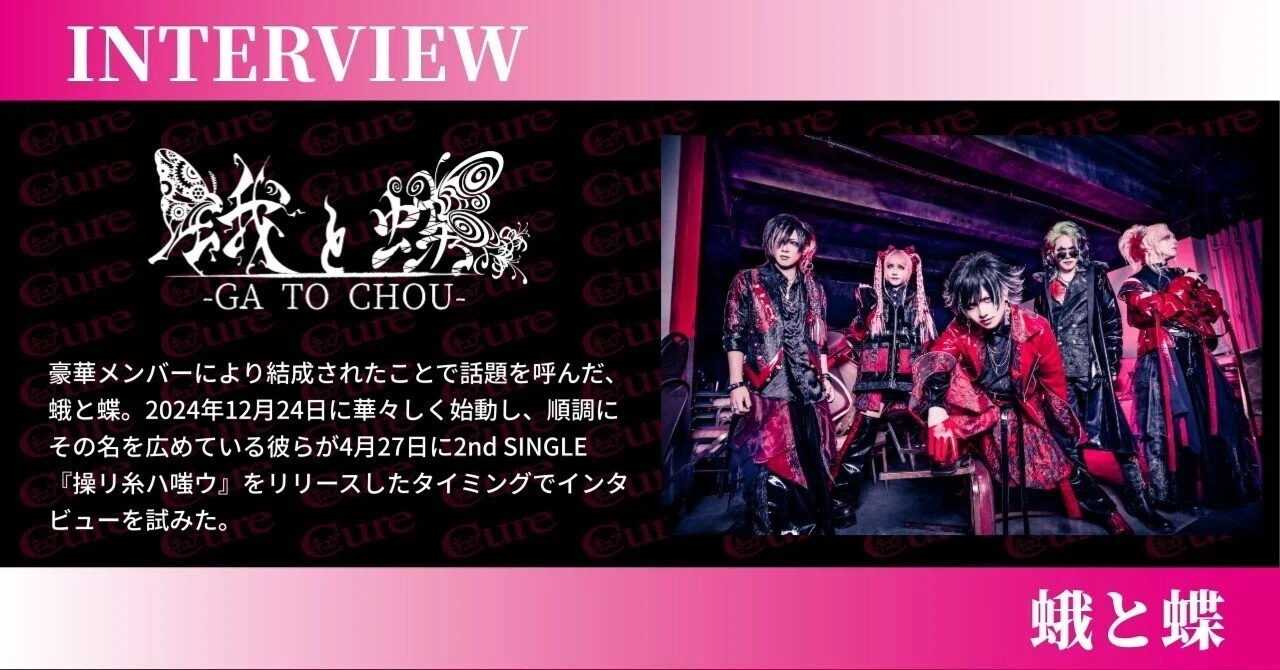 Interview】蛾と蝶――バンドへの情熱を再燃させるための決断｜｢Cure｣編集部