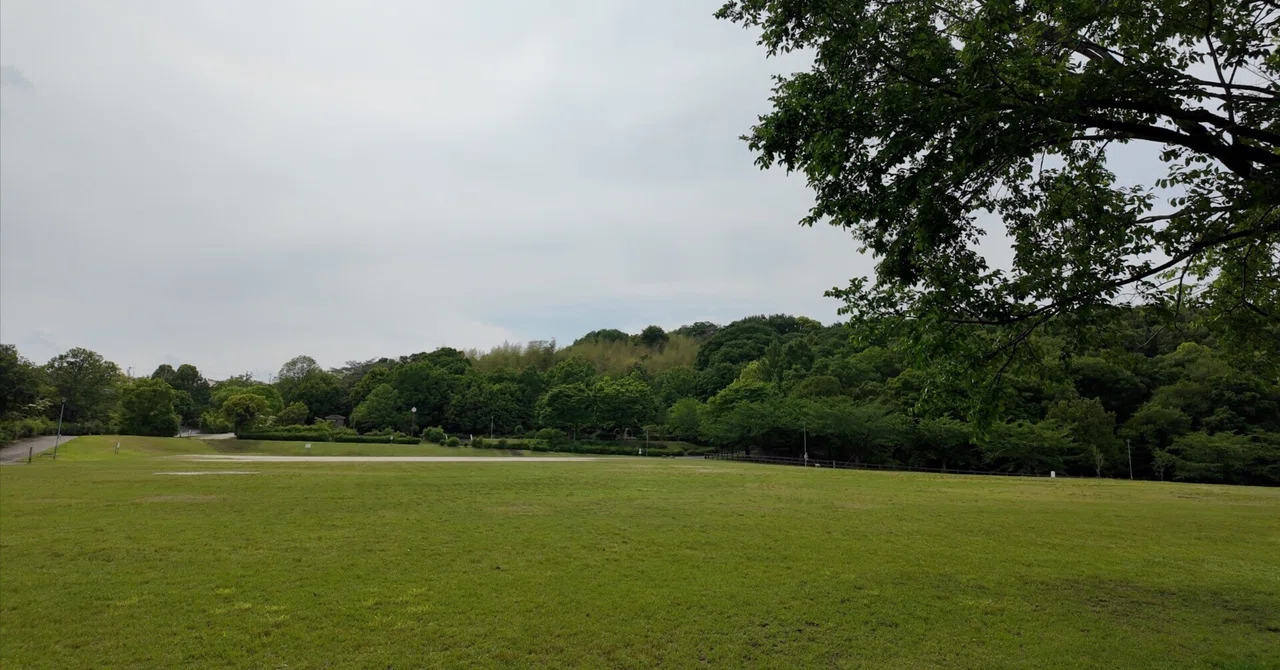 【天白公園】大根池のほとりに、名古屋市内でこんな自然が残っていた — 天白区｜Masami Ikawa