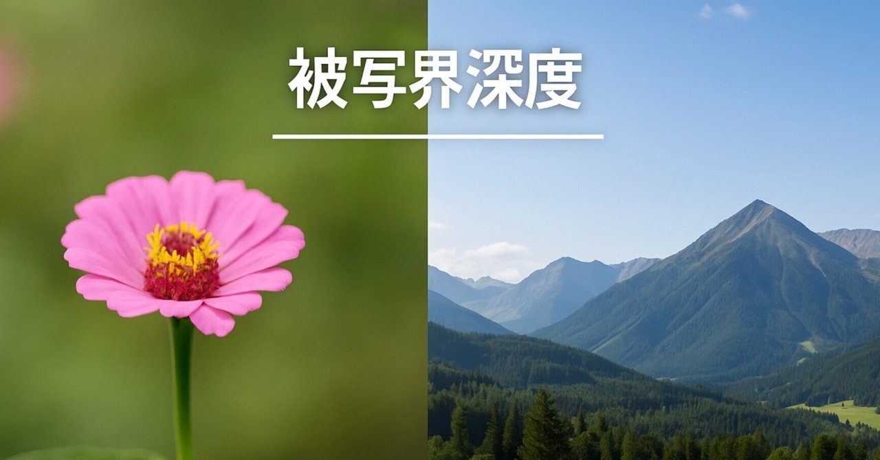 超基本】被写界深度（ひしゃかいしんど）の理解｜あかうさ📸