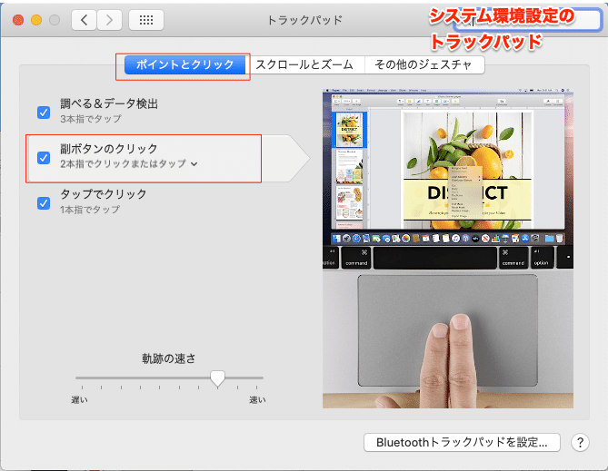 スクリーンショット 2020-02-08 12.23.56