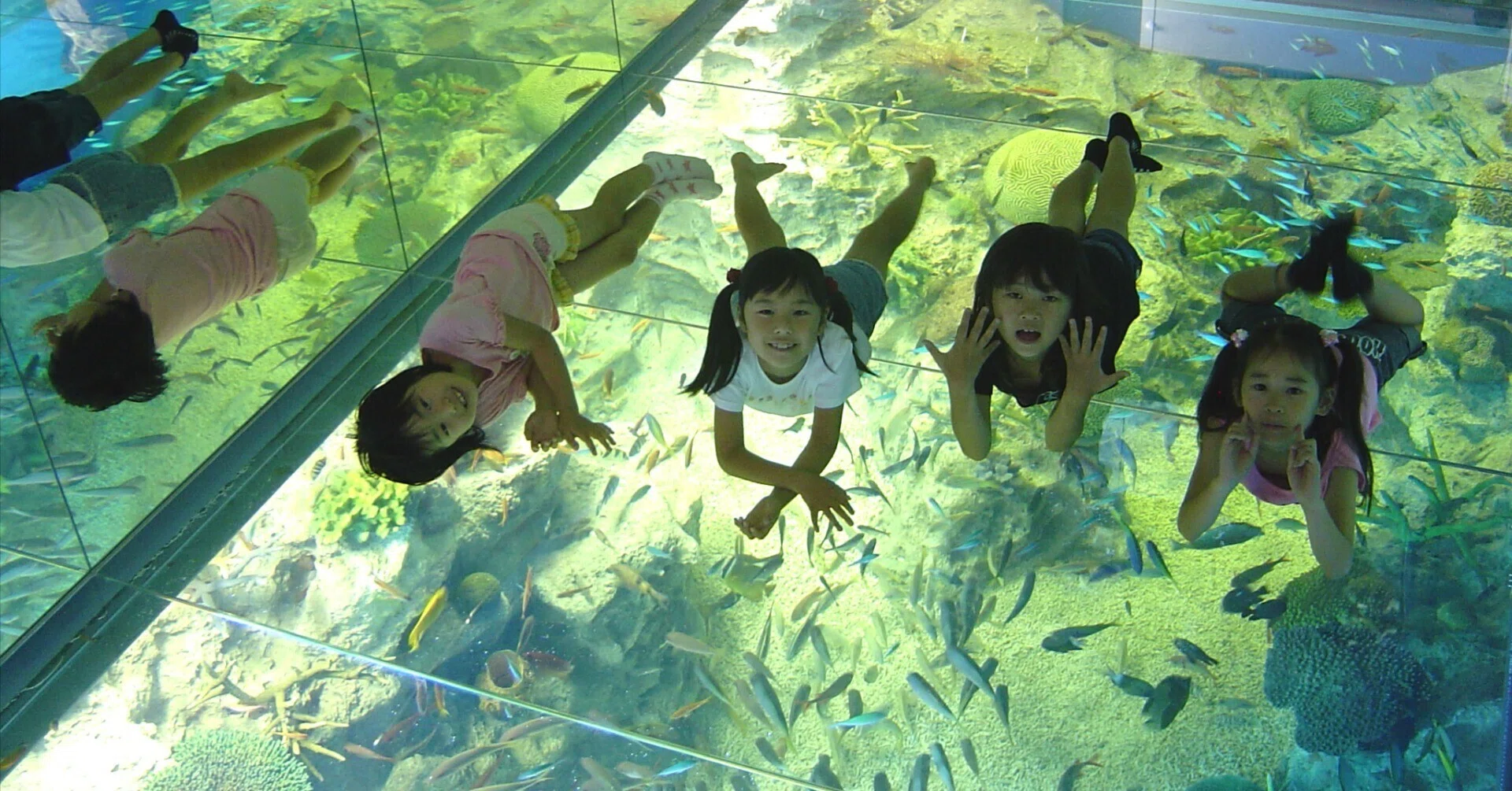 越前松島水族館 チケット】当日券や割引クーポンはある？お得な予約