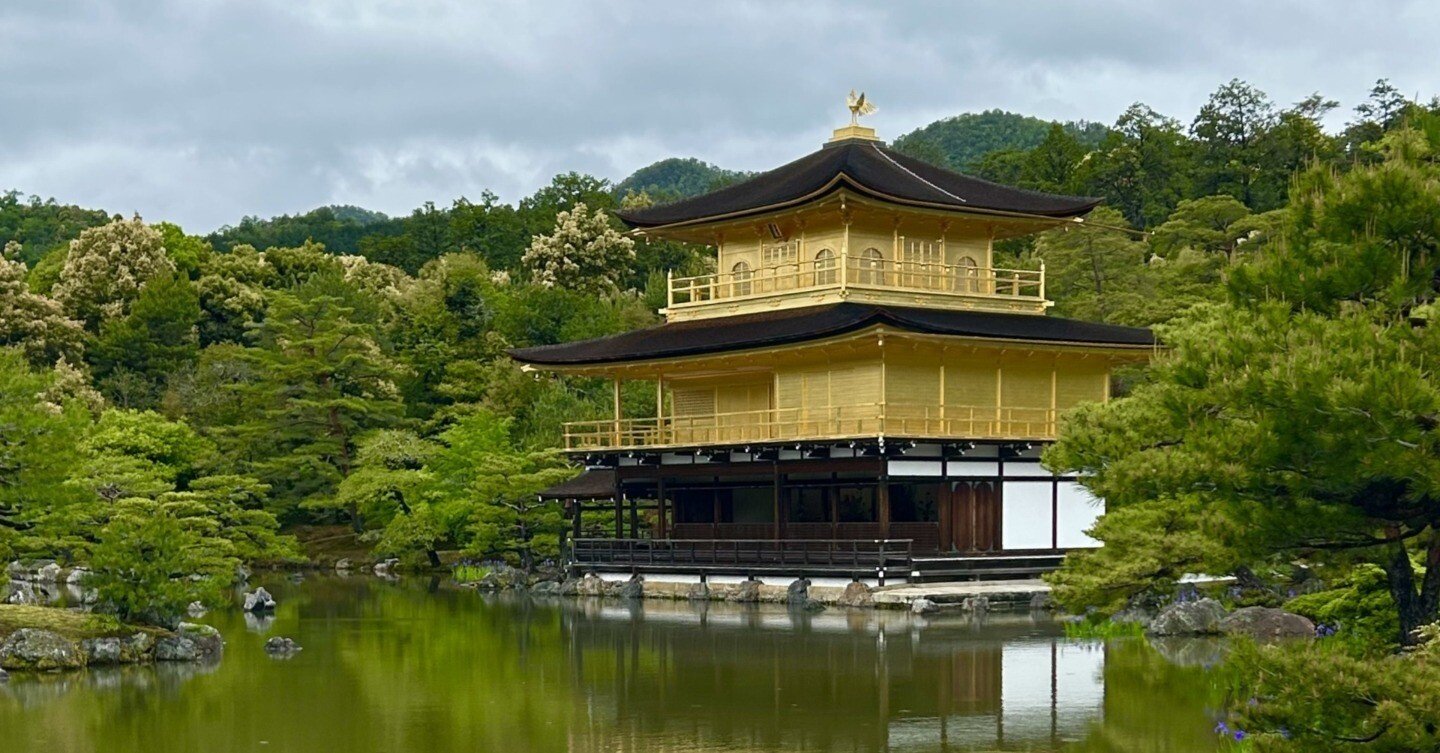 青紫色のカキツバタも見頃を迎えた金閣寺♪｜雅京都観光