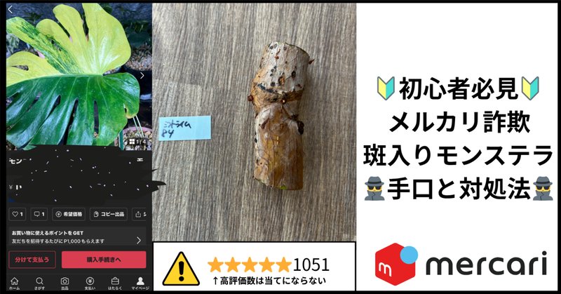 偽物注意❗️三浦春馬 ふれる 初版 美品 一冊雑誌おまけ付きの
