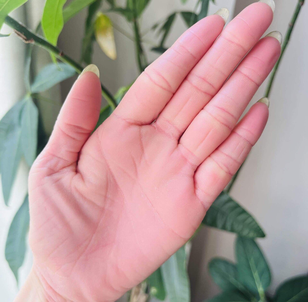 149.セルフ手相占い｜ChatGPTで友達とも盛り上がれる無料診断｜中里