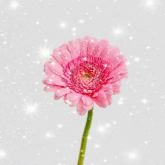♡ばにらあいす♡