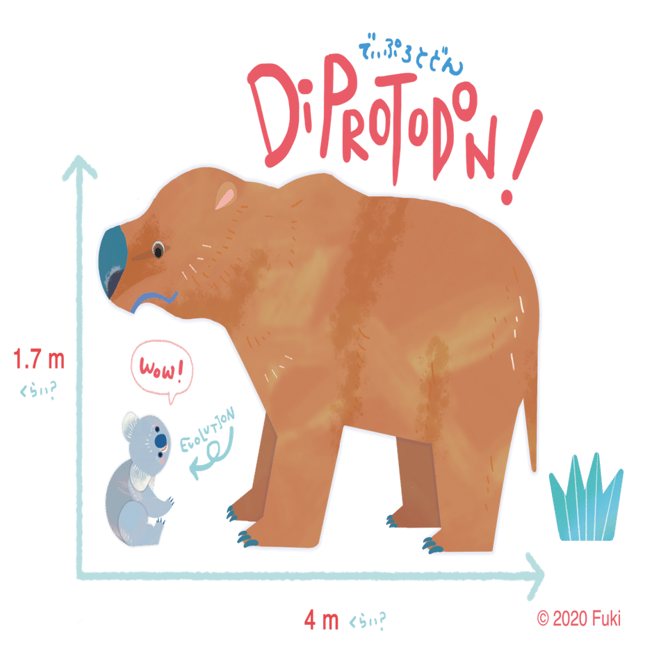 コアラ Koala こあら Fuki イラスト 絵本 Note