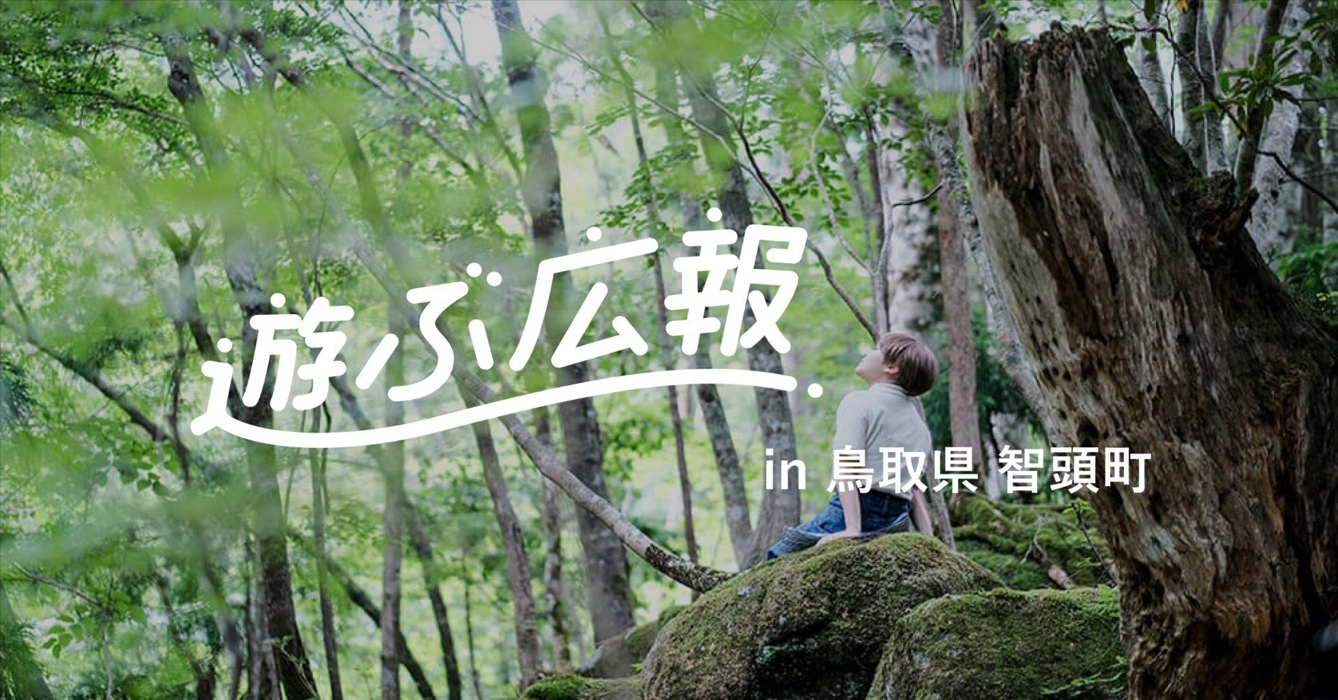 遊ぶ広報 in 鳥取県 智頭町｜【公式】遊ぶ広報｜くらしの魅力にふれ