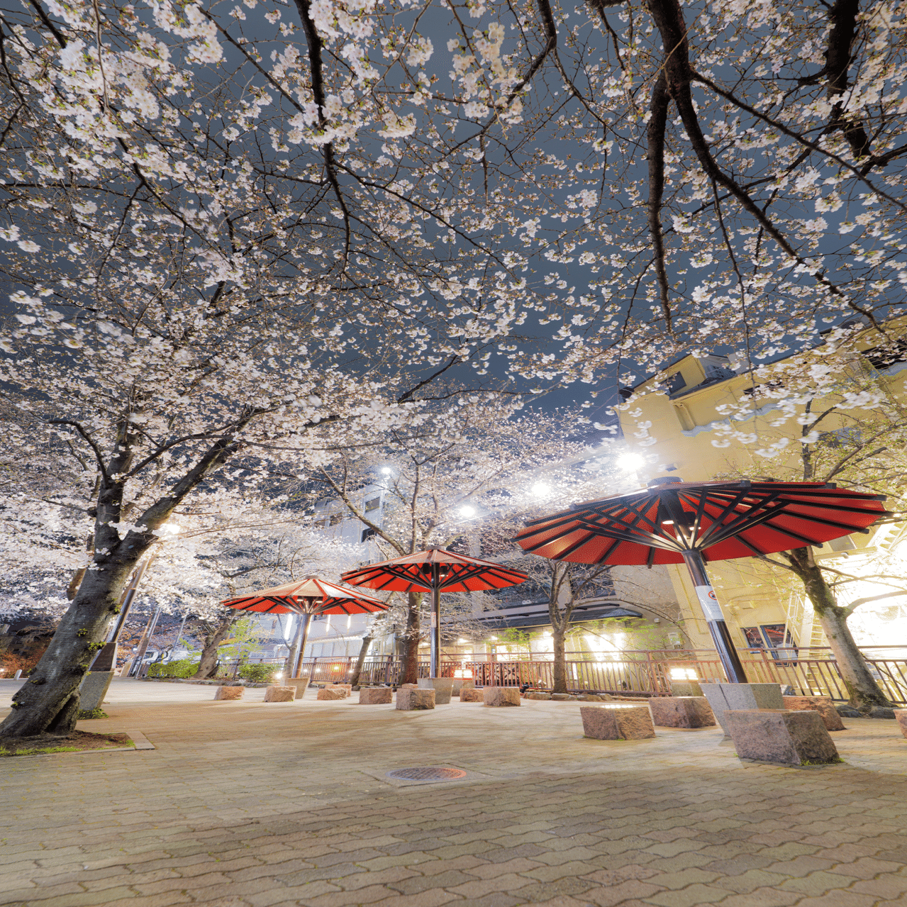 4月撮ったもの｜うえうえ