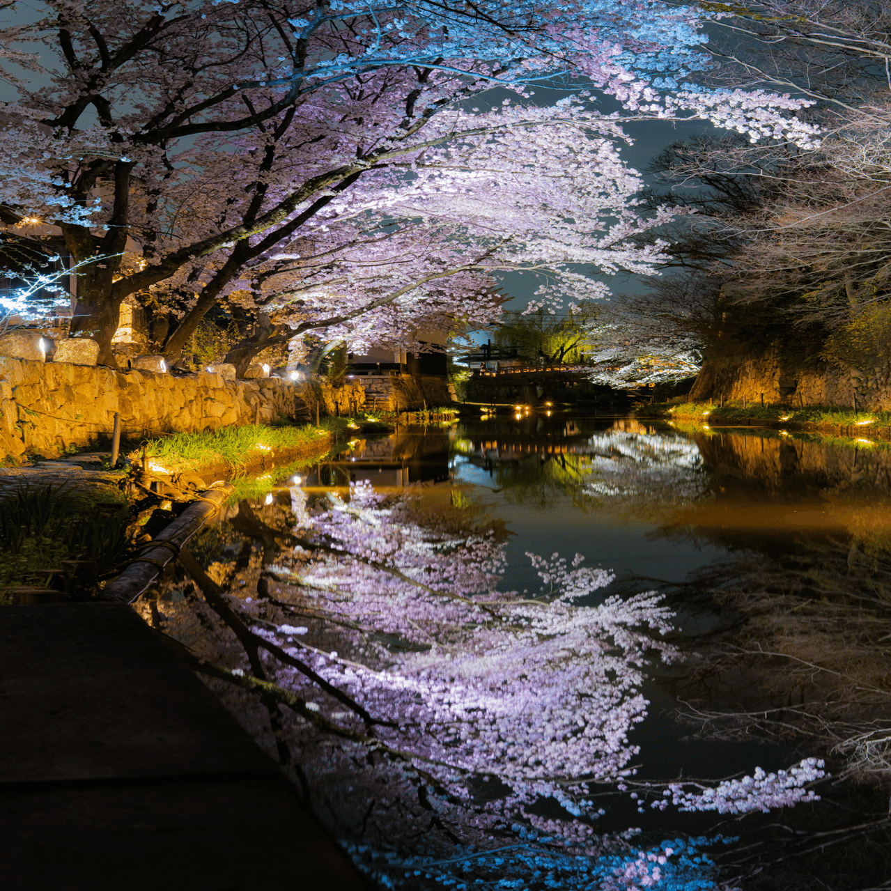 4月撮ったもの｜うえうえ