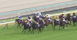 クロワデュノールと2025年日本ダービー考察｜ぱねす