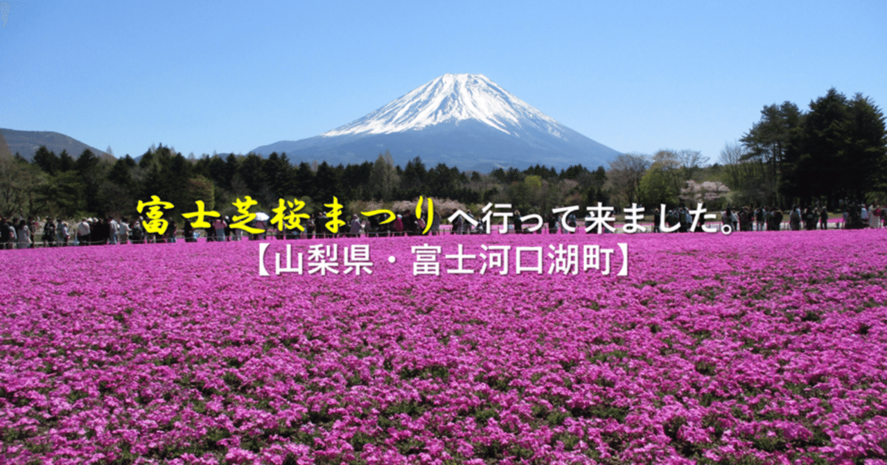 富士芝桜まつり」に行って来ました。【山梨県・富士河口湖町】｜GEnKU