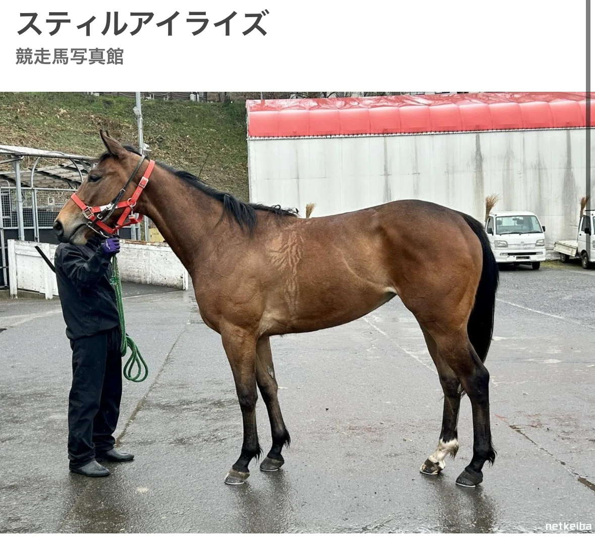 思い出のヴィクトリアマイル】 2009年ウオッカ｜まう