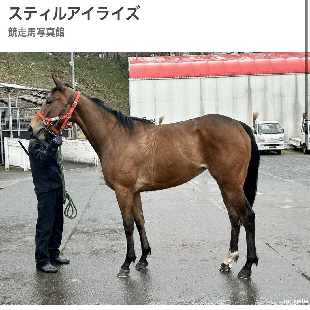 思い出のヴィクトリアマイル】 2009年ウオッカ｜まう