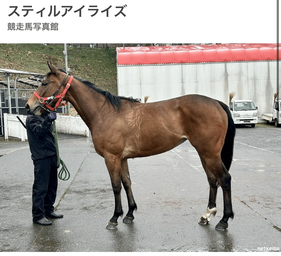 思い出のヴィクトリアマイル】 2009年ウオッカ｜まう